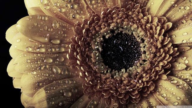 Ot. Taktakishvili -Sonata for Flute and Piano 2.mvmt- Myrto Michalopoulou flute / Thomas Preuß pian смотреть онлайн