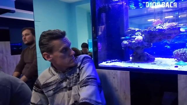 Морской аквариум для начинающих! Теплая дружественная лекция, беседа о морском аквариуме! 3 часть смотреть онлайн