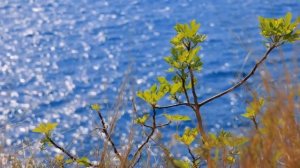 КАК СМИРИТЬСЯ С ОДИНОЧЕСТВОМ, И ЖИТЬ В СВОЁ УДОВОЛЬСТВИЕ БЕЗ ОТНОШЕНИЙ И ЛЮБВИ С ЖЕНЩИНАМИ?