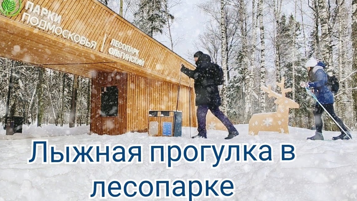VLOG 4. Чем заняться в выходные зимой? Skiing in the city-park.