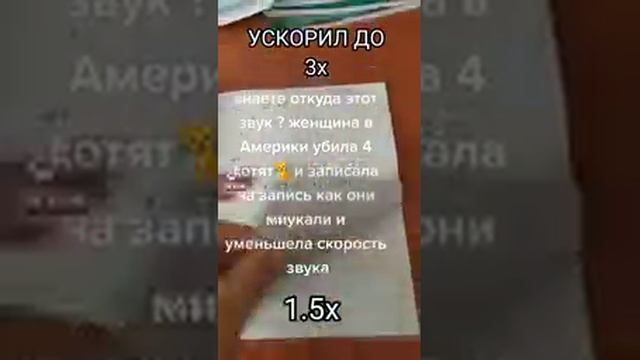 этот звук умирающих котят я ускорил до 3x