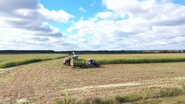 ЛЕТИМ-ЛЕТИМ!!! уборка КУКУРУЗЫ на силос. Осень 2020 смотреть онлайн