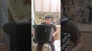 Не реальное исполнение на баяне #баян #музыка #баянмикс #бумер #лунанезнает #небоголубое #тайпан