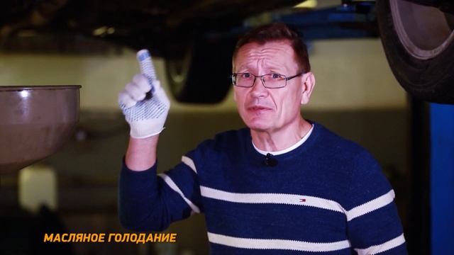 SMT2 и масляное голодание