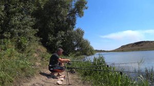 ЛОВИМ ПЛОТВУ НА МАКУШАТНИК, ГОРОХ, ЧЕРВЯ. ВСПОМИНАЯ ЛЕТО ПРОШЛОГО ГОДА.