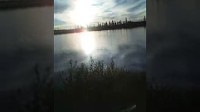 Экскурс в тундру, видео от шеф-повара «Нефтехима» Гималтдиновой Гульзиры смотреть онлайн