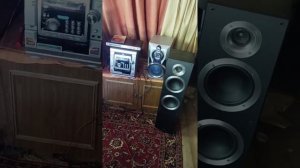 Pioneer S-ES 21 L-R-K