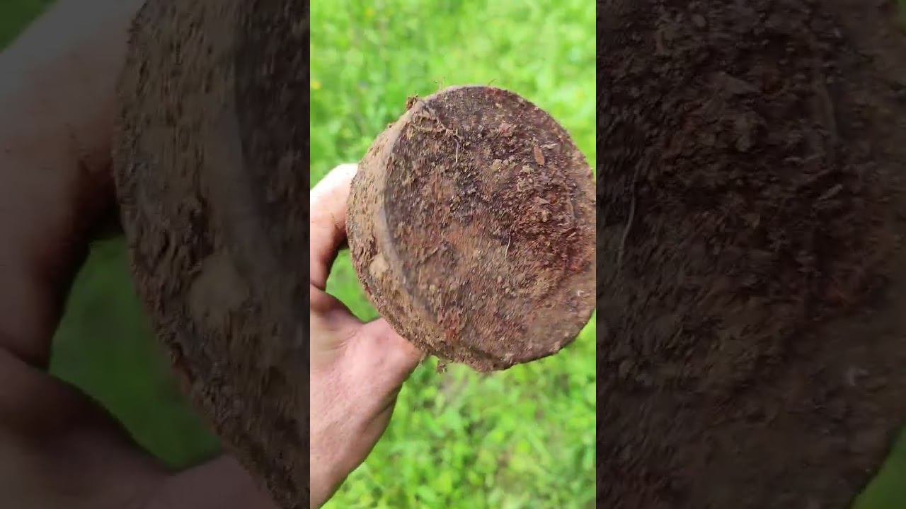 #металокоп #quest Поджелезничек смотреть онлайн