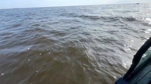 Осенняя рыбалка на Рыбинском водохранилище