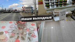 Купили дом на юге // Простые будни // Нюркина жизнь