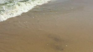 Цимлянское водохранилище