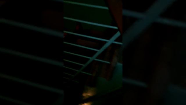 Молодые говнокуры в Новоуральске смотреть онлайн