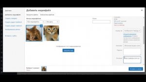 Как добавить запись в блог. Сайт на Wordpress. Классическое SEO