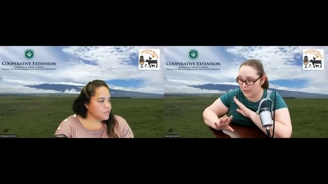 S2 Ep. 6: Ag Tax Preparation 2022 (Livestock Walaʻau Podcast) смотреть онлайн