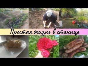 Два дня работы на участке // Простая жизнь в станице // Было и стало // Вкусно и просто //