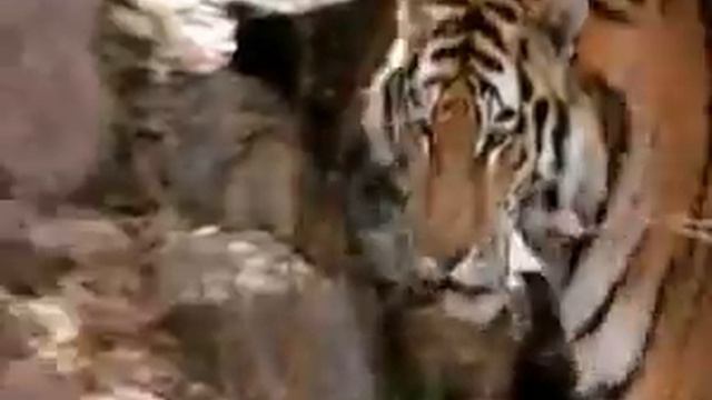 Природа)))моя первая работа))) смотреть онлайн