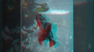 Красивые 3D картинки.