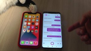 Новые Siri и Алиса общаются друг с другом