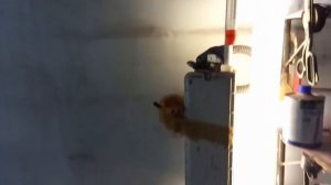 Покраска панелей мдф автомобильной краской.