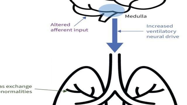 #breakthroughjuniorchallenge The role of ventilation system. Роль вентиляции.Havo aylanish ahamiyat смотреть онлайн