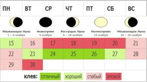 Лунный календарь рыболова с 15 по 30 Ноября  Прогноз клева рыбы Календарь рыбалки ноябрь 2021