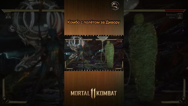 Mortal Kombat 11 - комбо с полётом за Дивору