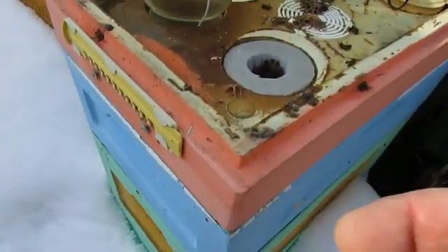 экспериментальный улей с летком в потолке, хорошая зимовка пчел на воле смотреть онлайн