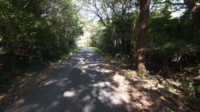 4K・Прогулка по острову кошек - Тасиродзима смотреть онлайн