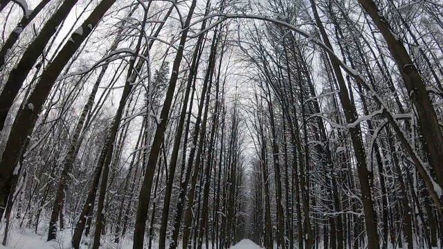 14.01.2020 Мини-обзор Парк имени Казимира Малевича г. Одинцово (Московская область)... смотреть онлайн