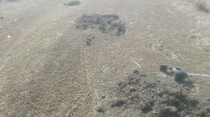 И СНОВА МЕТАЛЛ ПОД НОГАМИ !!! ПОИСК МЕТАЛЛА С МЕТАЛЛОИСКАТЕЛЕМ !!!