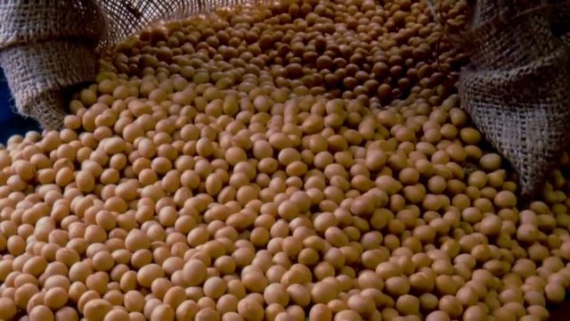 Magniflex AloeVera - Подушка Магнифлекс Алое Вера смотреть онлайн