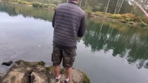 Большой лосось ламает удилище. Ловля лосося на реке в горах.