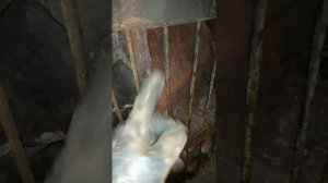 Печь Везувий Оптима,спустя 2 года