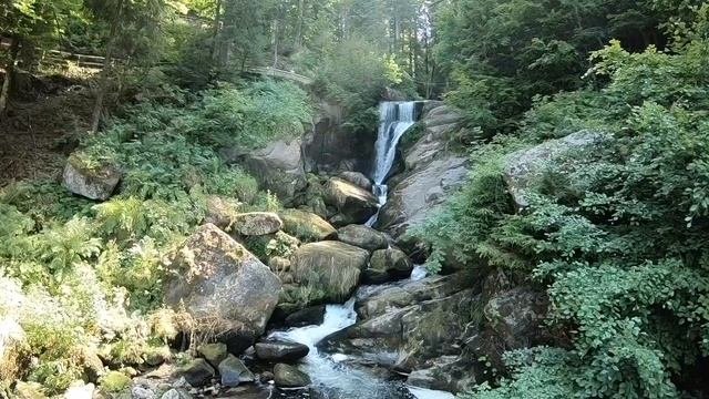 Германия - Шварцвальд 