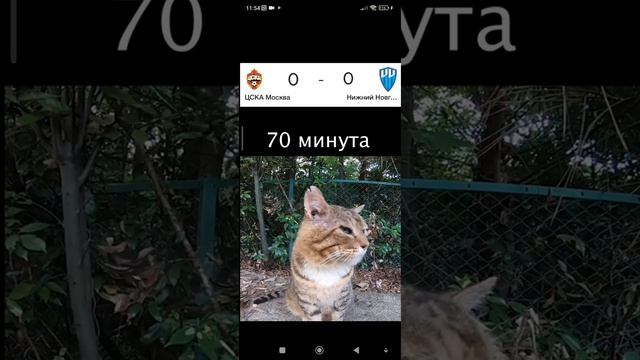 матч смотреть онлайн