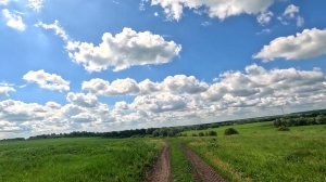 20240604 4K Неторопливый бег по полям босиком. Видео для беговой дорожки. 10.9 км 7мин/км.