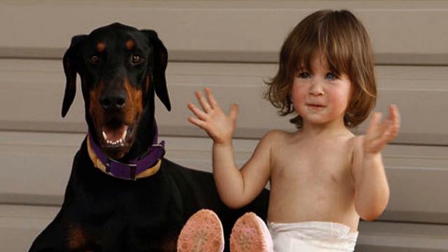 Пса взяли из приюта и то, что он сделал с ребенком шокировало людей! смотреть онлайн