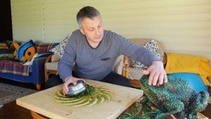 Скручивание и ферментация иван-чая (с лягушкой). Лайфхак по вакуумированию