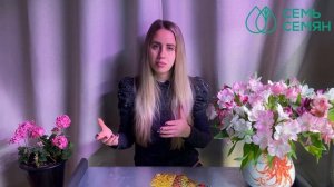 РОСКОШНЫЕ СОРТА БАРХАТЦЕВ, О КОТОРЫХ ВЫ ЕЩЕ НЕ СЛЫШАЛИ!