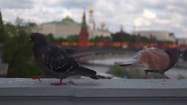 Test Lens MIR1V (МИР 1В) смотреть онлайн