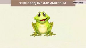 Животные. Группы животных | Окружающий мир 2 класс #44 | Инфоурок