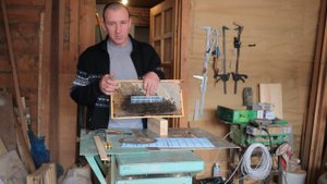 Изоляция маток