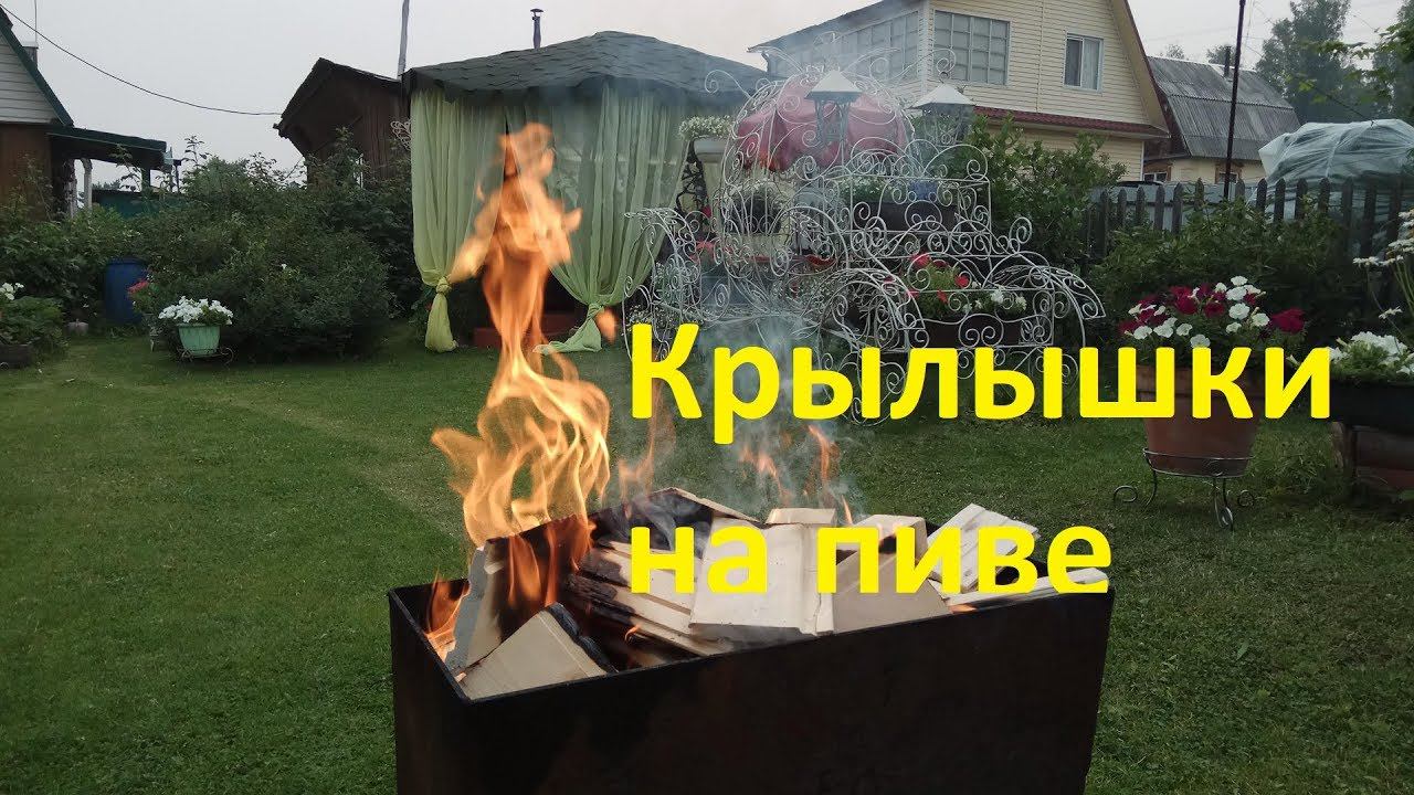 Куриные крылышки в пиве на мангале.
