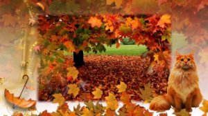 Слайд-шоу "Осень-кошка в рыжих сапогах"