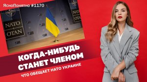 Когда-нибудь станет членом. Что обещает НАТО Украине | ЯсноПонятно #1170 by Олеся Медведева