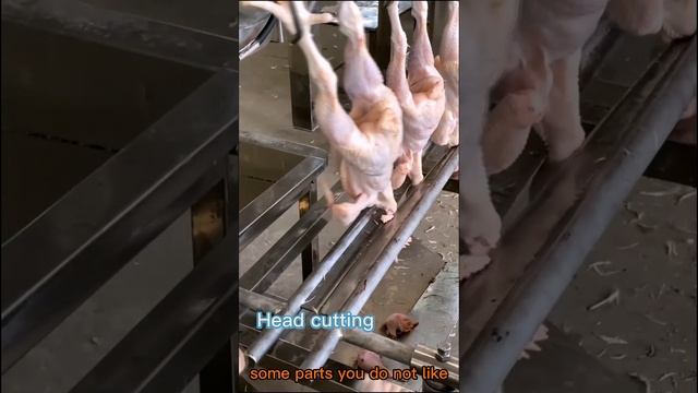 Cutting chickens' heads automatically and fast