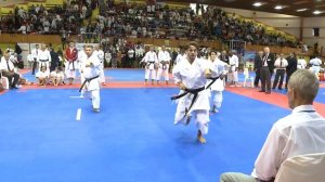 Moments of the SKDUN World Shotokan Karate Championship I.