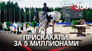 В Подмосковье прошёл финал чемпионата России по конкуру