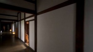 Миямото Мусаси. Величайший мечник и ронин Японии. ИСТОРИЧЕСКИЙ ПОДКАСТ, XVII в.