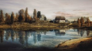 Звуки природы у озера, журчание ручья и пение птиц | Relaxing sounds of nature by the lake